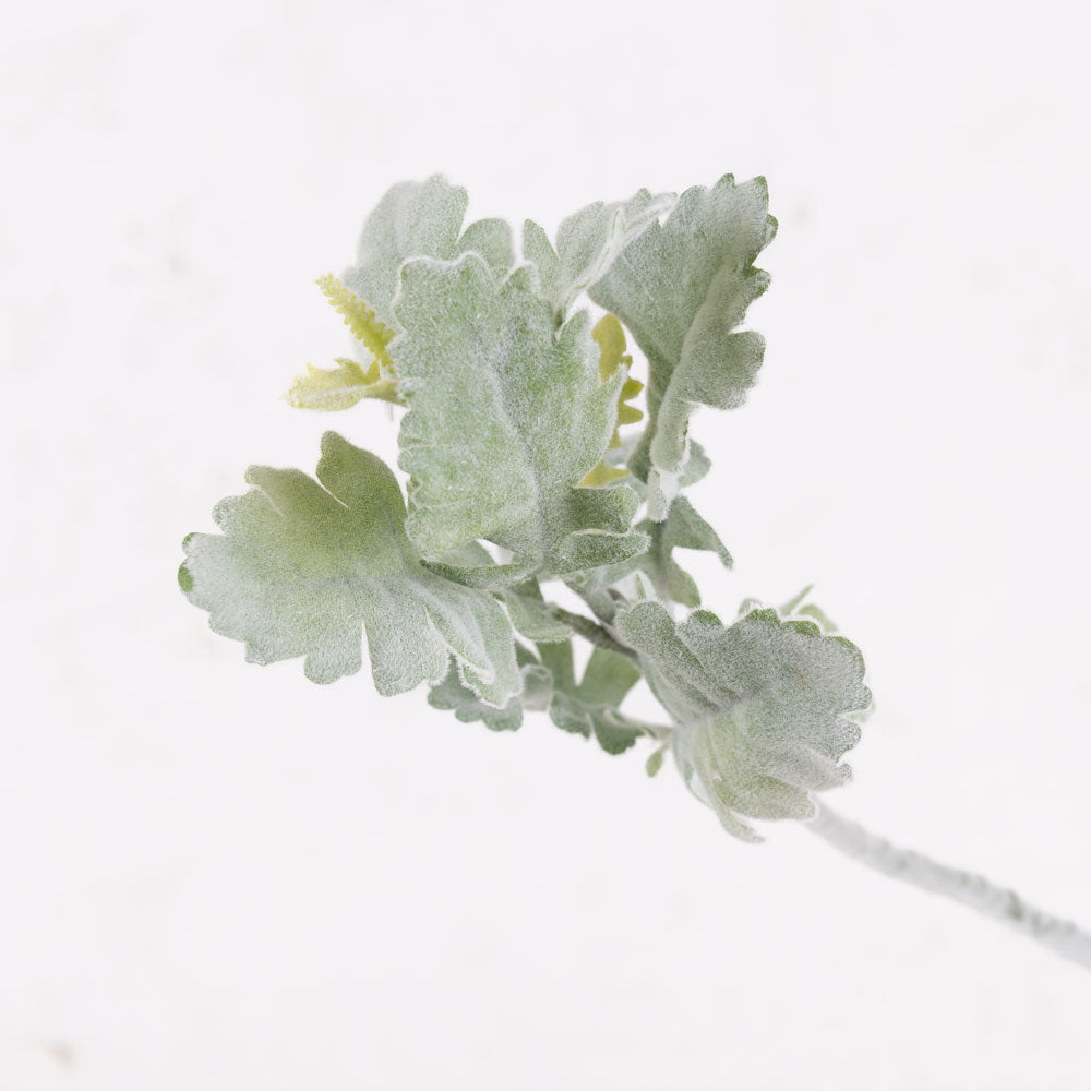Faux Dusty Miller, Green, 33cm