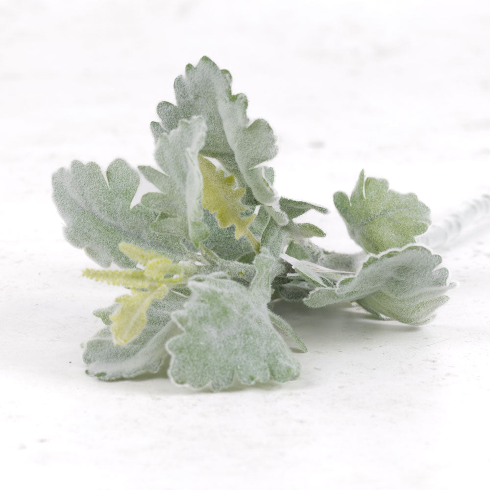 Faux Dusty Miller, Green, 33cm