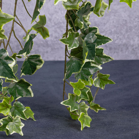 Ivy (hedera helix) Hanger, Green, 86cm