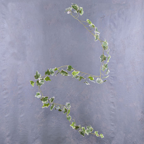 Ivy (hedera helix) Garland, Variegated, 1.8m