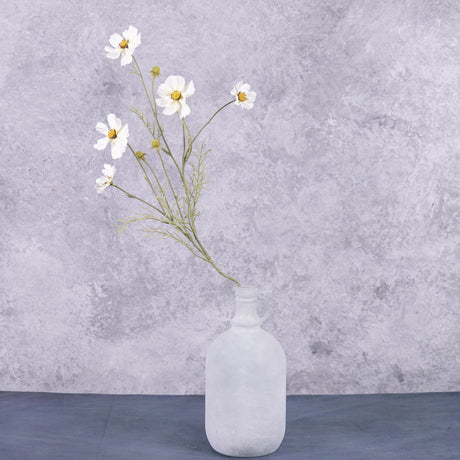 A white cosmos flower spray displayed in a white frosted glass demi-john