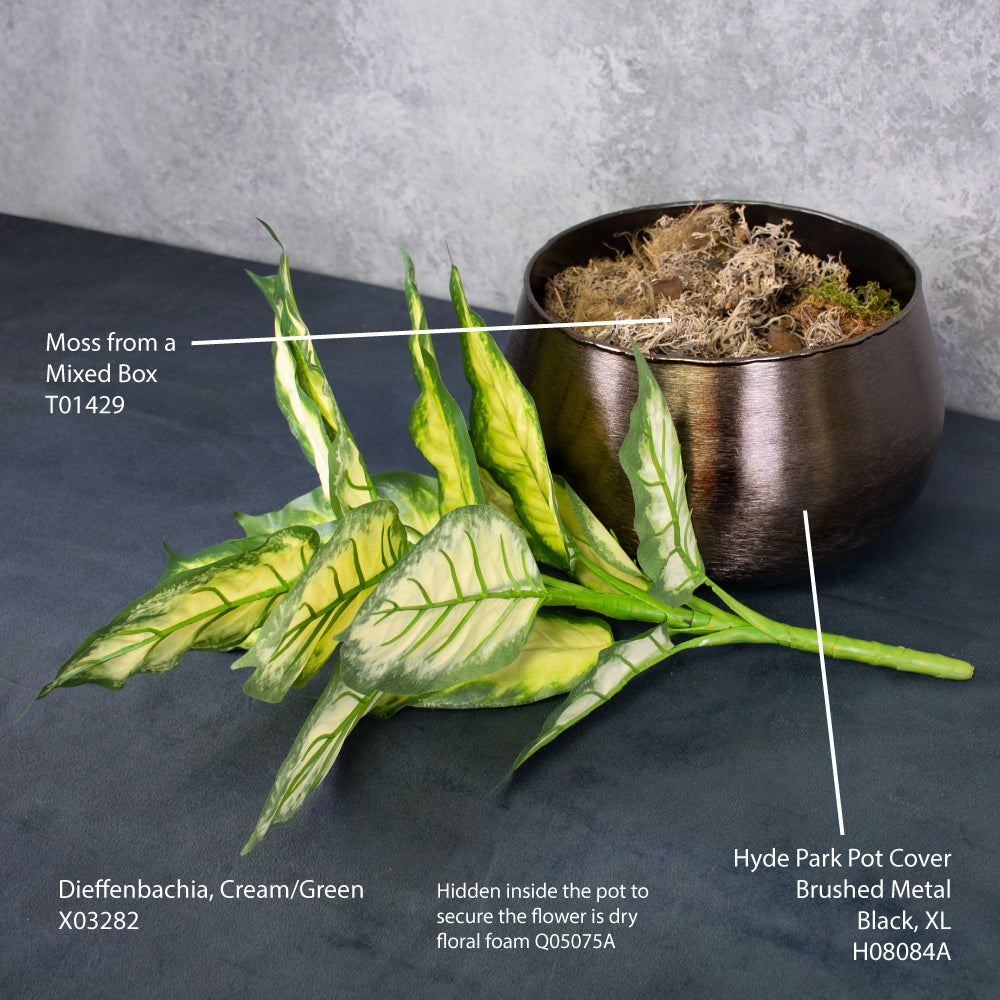 Dieffenbachia, Cream/Green, 30x40cm, FR