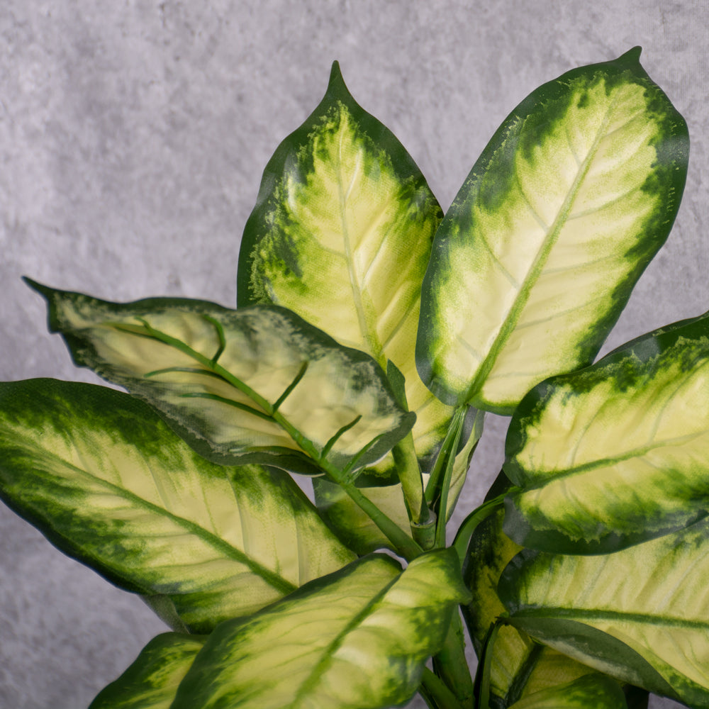 Dieffenbachia, Artificial, Green/White, 30x40cm, FR