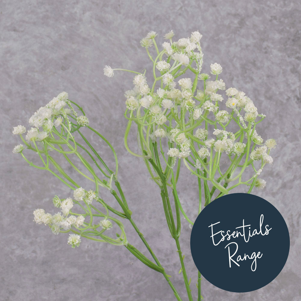 Gypsophila, White, 70cm