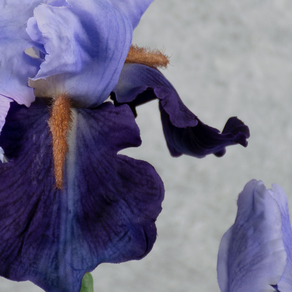 Iris Spray, De-Luxe, Blue/Lilac, 71cm