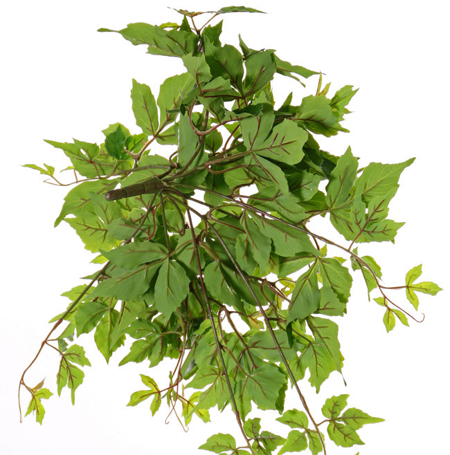 Parthenocissus (Virginia Creeper), Artificial, 50x30cm, UV, Recycled