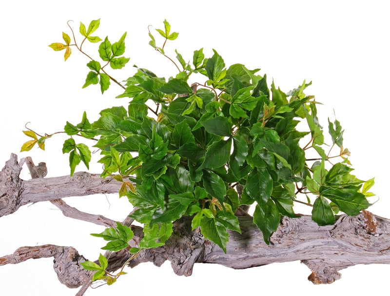 Parthenocissus (Virginia Creeper), Artificial, 50x30cm, UV, Recycled