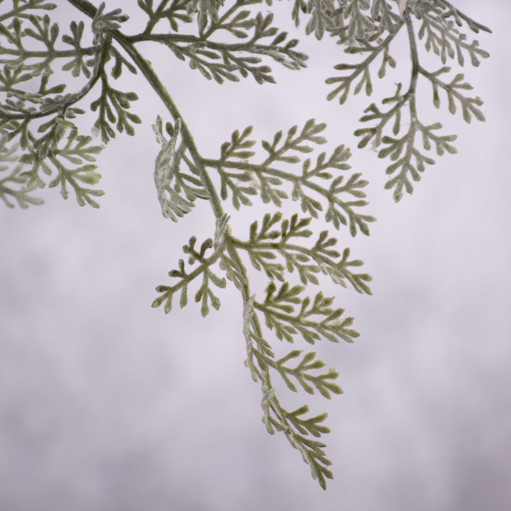 Artemisia, Grey/Silver, Flocked Stem, 100cm