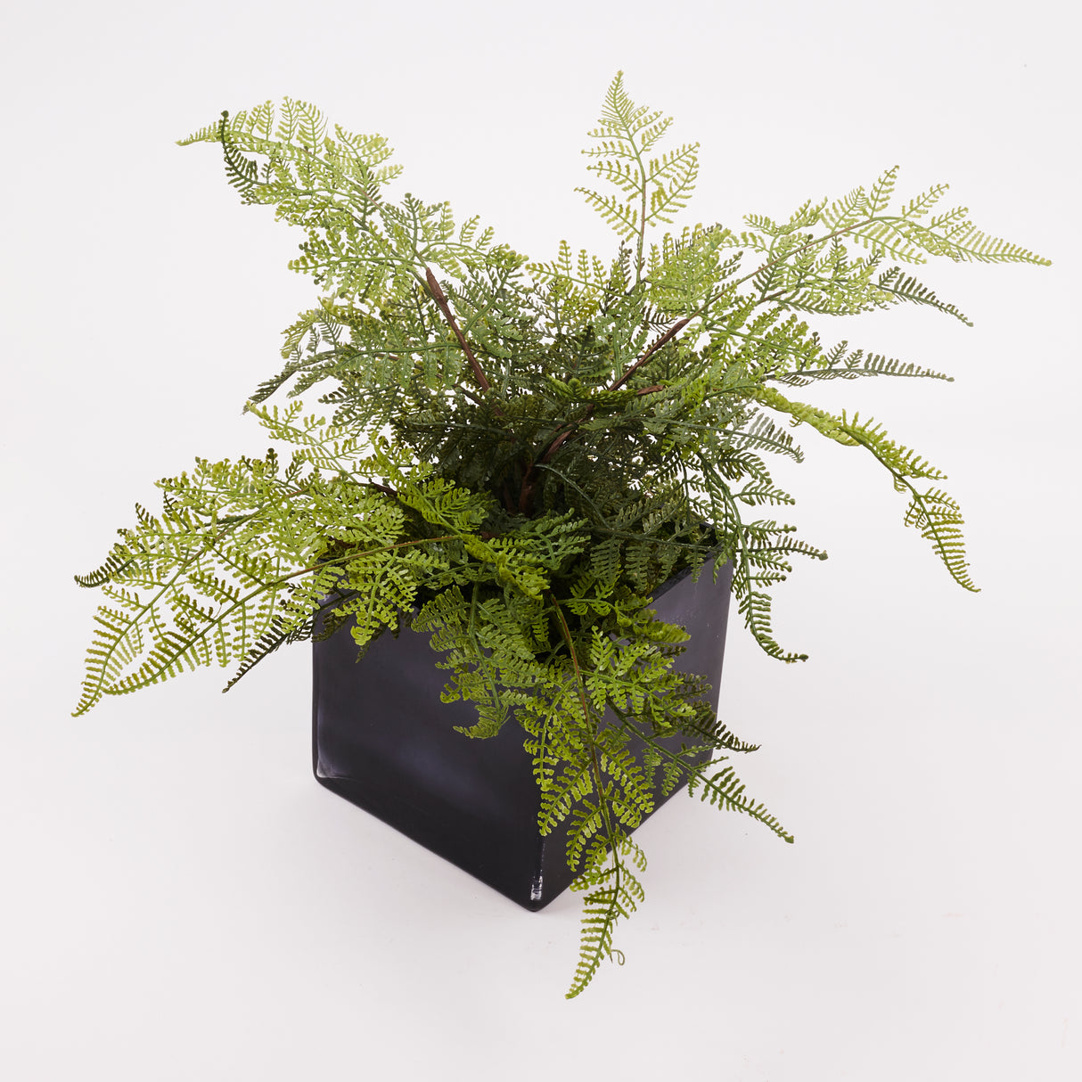 Wood Fern (Dryopteris), Artificial, H40cm