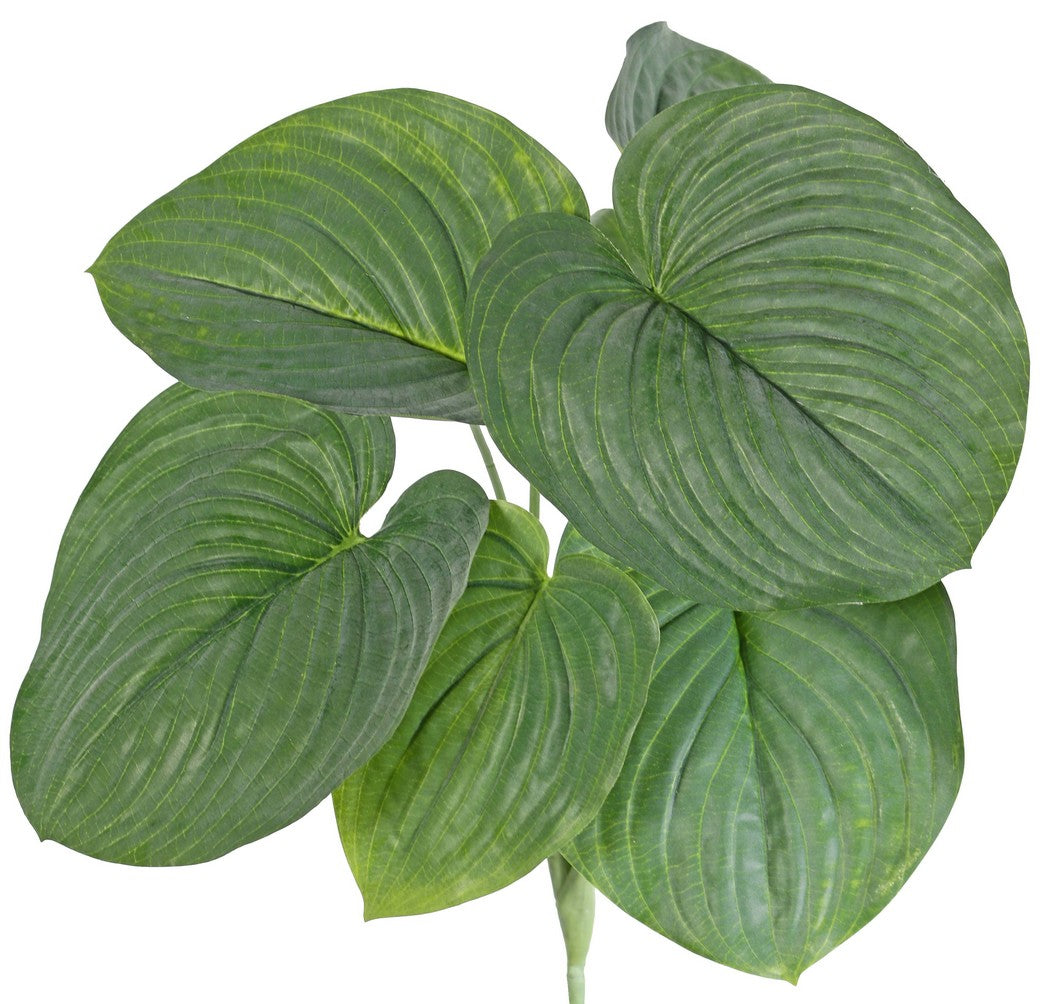 Hosta plant, (Heart Lily), Artificial, Large, 66cm