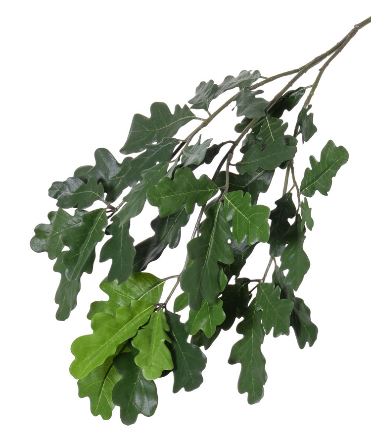 Oak Spray (Quercus), Artificial, Green, 70cm, FR