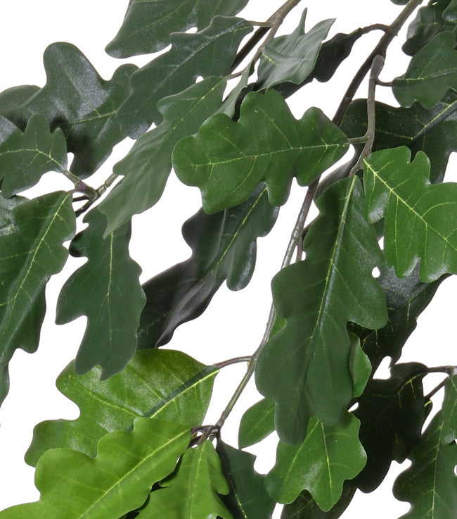 Oak Spray (Quercus), Artificial, Green, 70cm, FR