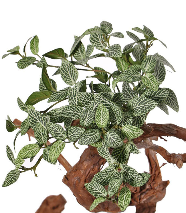Fittonia Bush, Artificial, 33cm FR