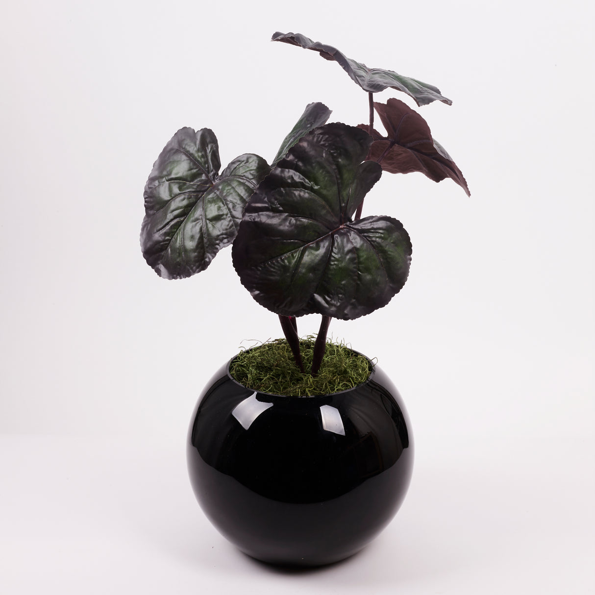 Ligularia dentata, Artificial, Green/Red, 86cm