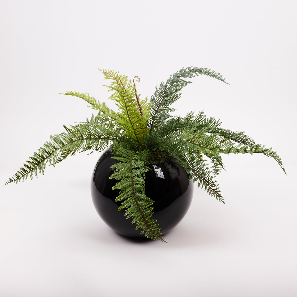 Needle Fern (Polystichum), Artificial, H58cm