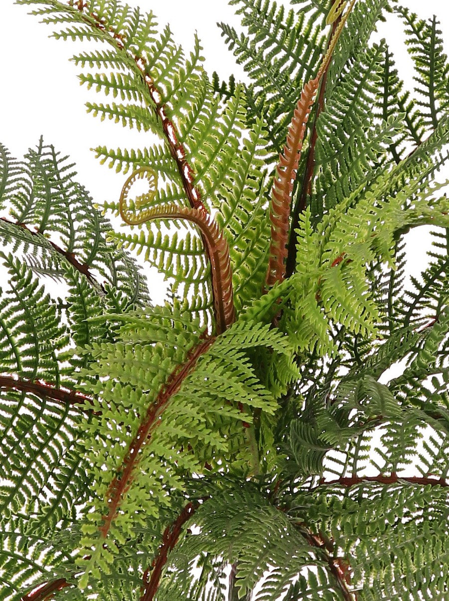 Needle Fern (Polystichum), Artificial, H58cm