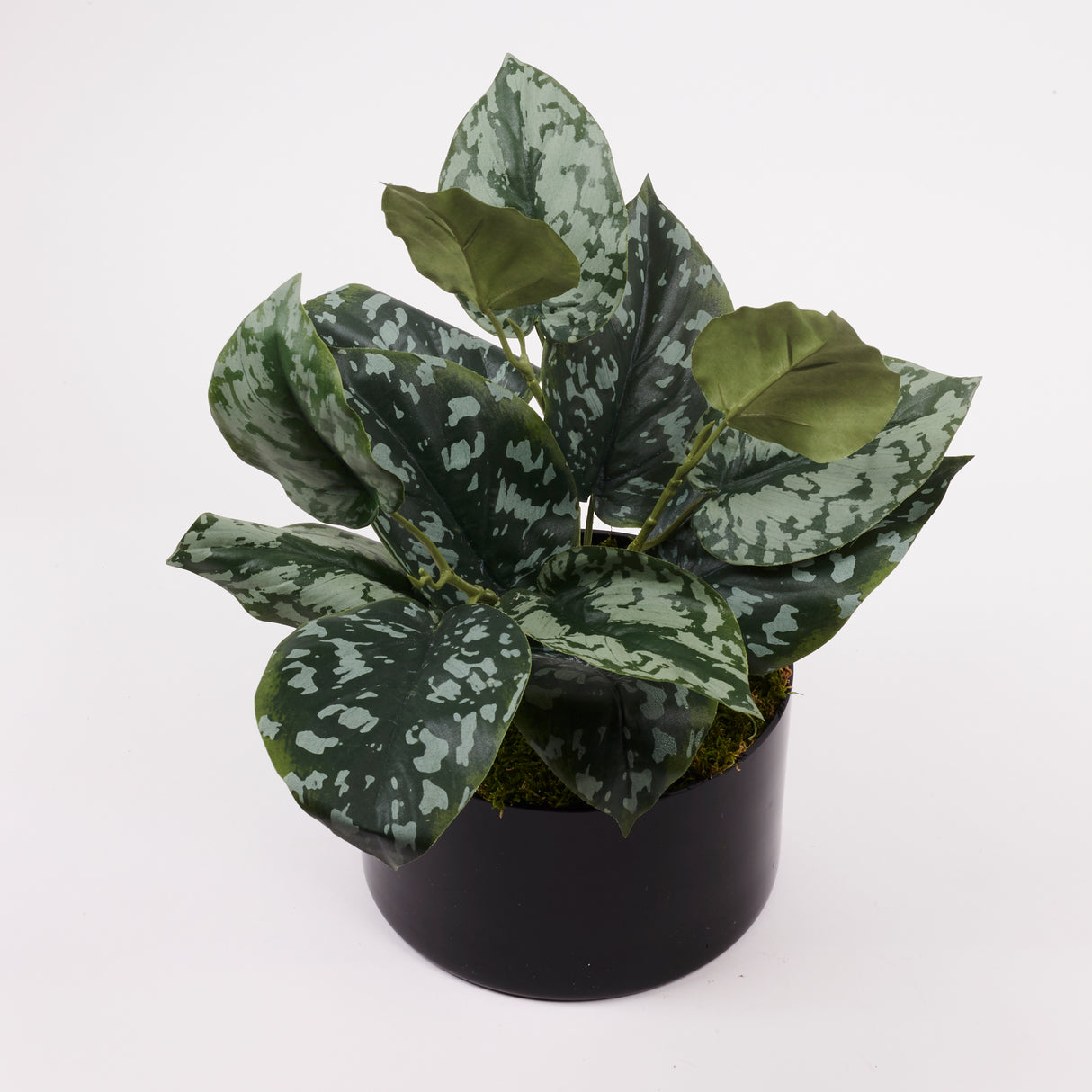 Scindapsus bush (Epipremnum), Artificial, H35cm, FR