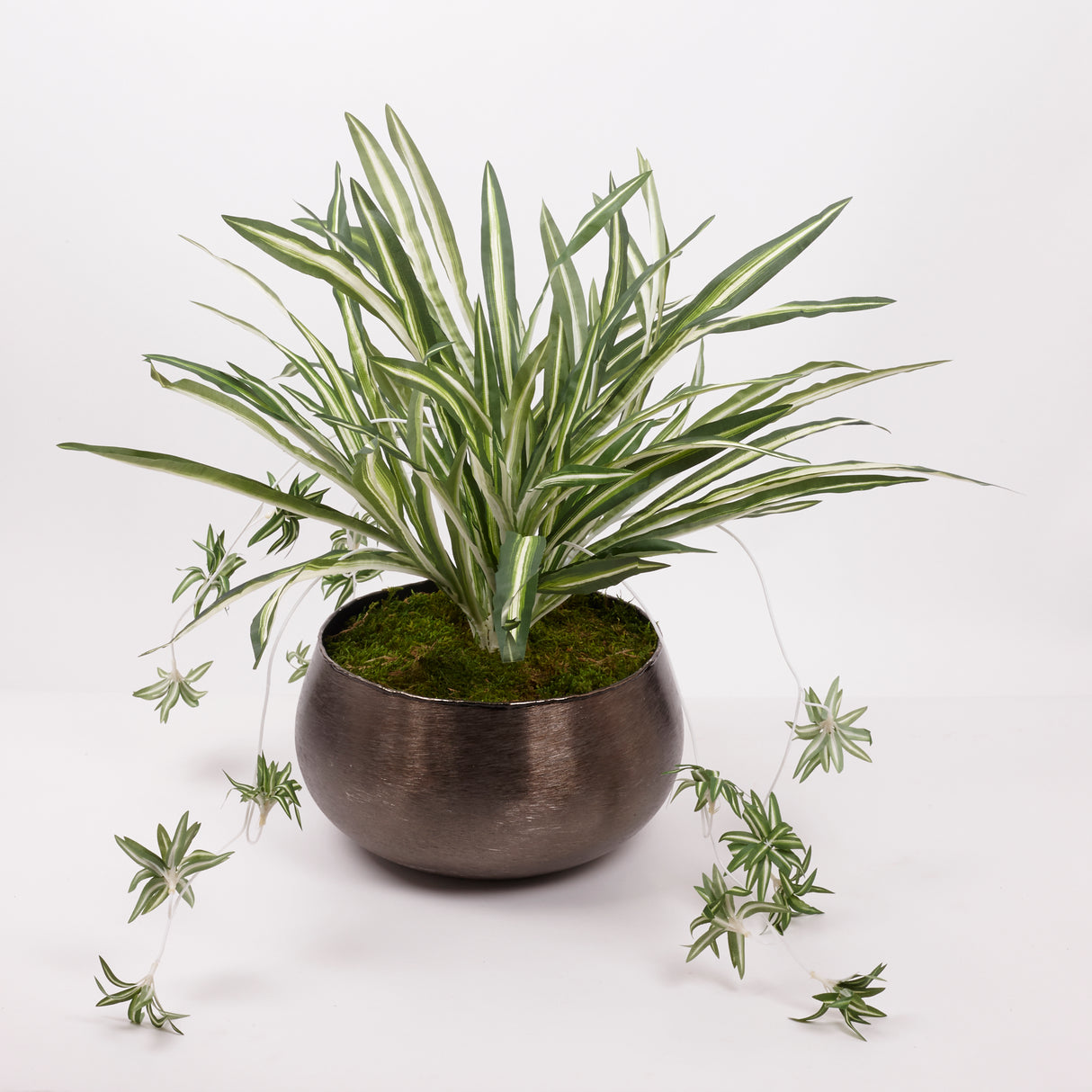 Spider Plant, Green and White Variegated Leaves, Artificial, D60cm