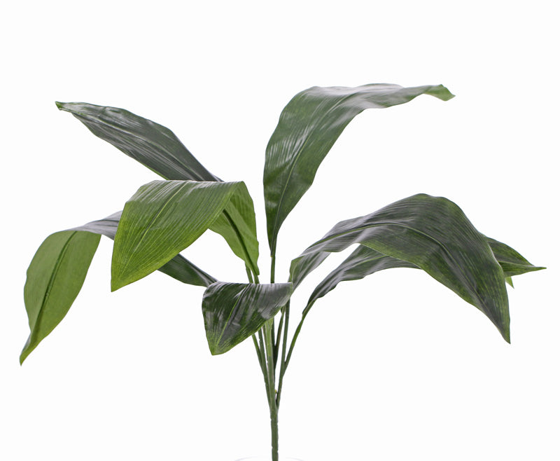 Aspidistra eliator, Artificial, Green, 55cm