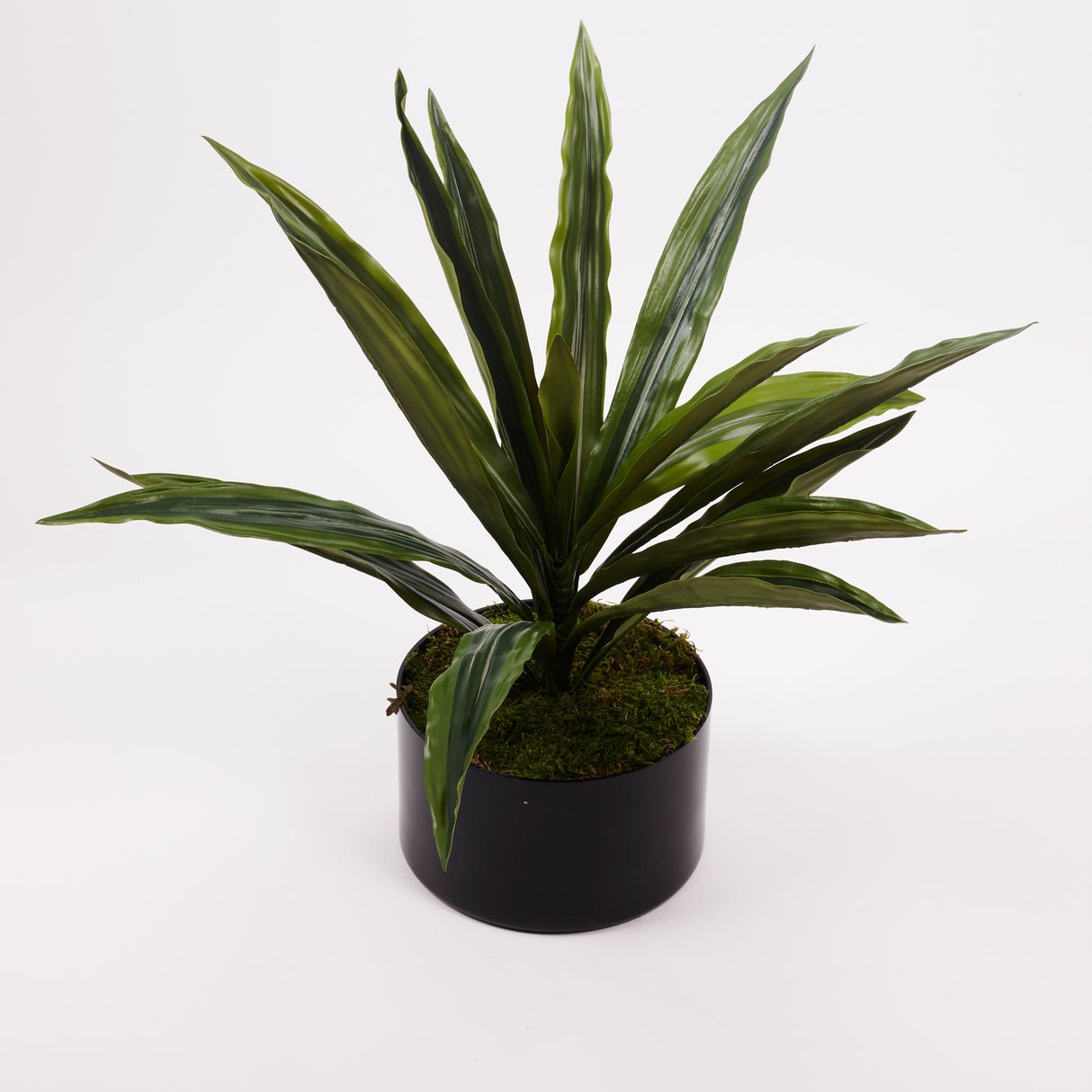 Dracaena Plant, Artificial, Green, diameter 50cm
