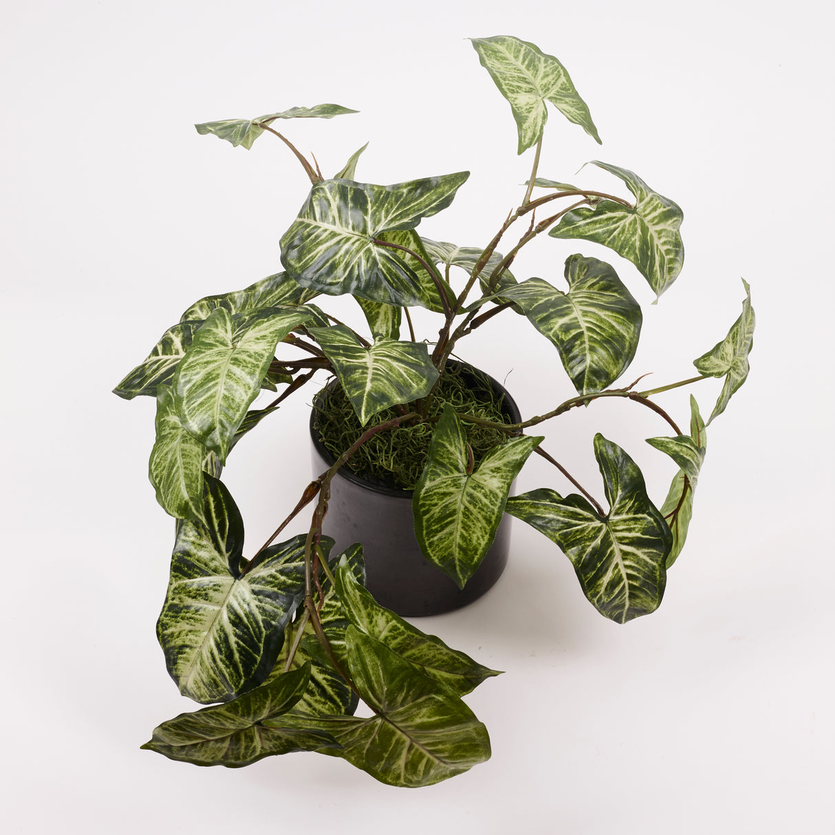 Nephthytis Plant (Arrow head), Artificial, Green, diameter 35cm