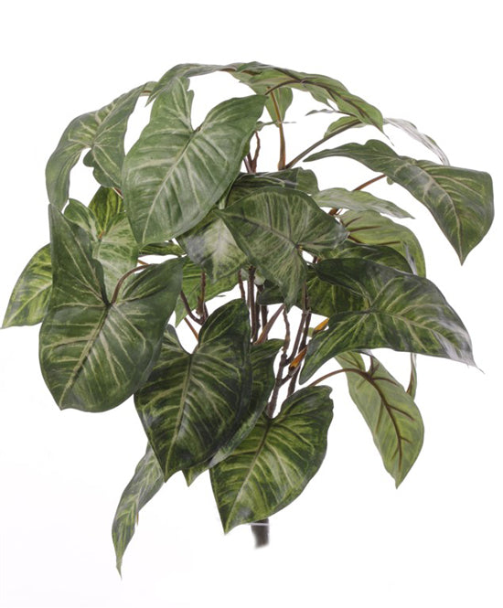 Nephthytis Plant (Arrow head), Artificial, Green, diameter 35cm