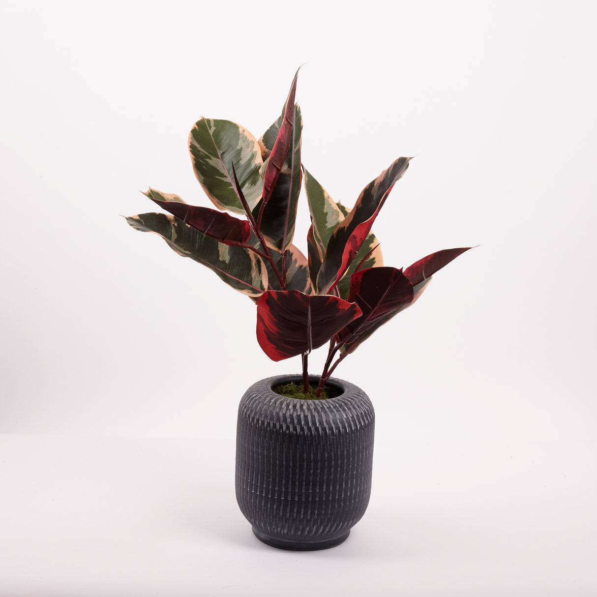 Ficus 'Ruby', Artificial, Red/Green, 60cm FR