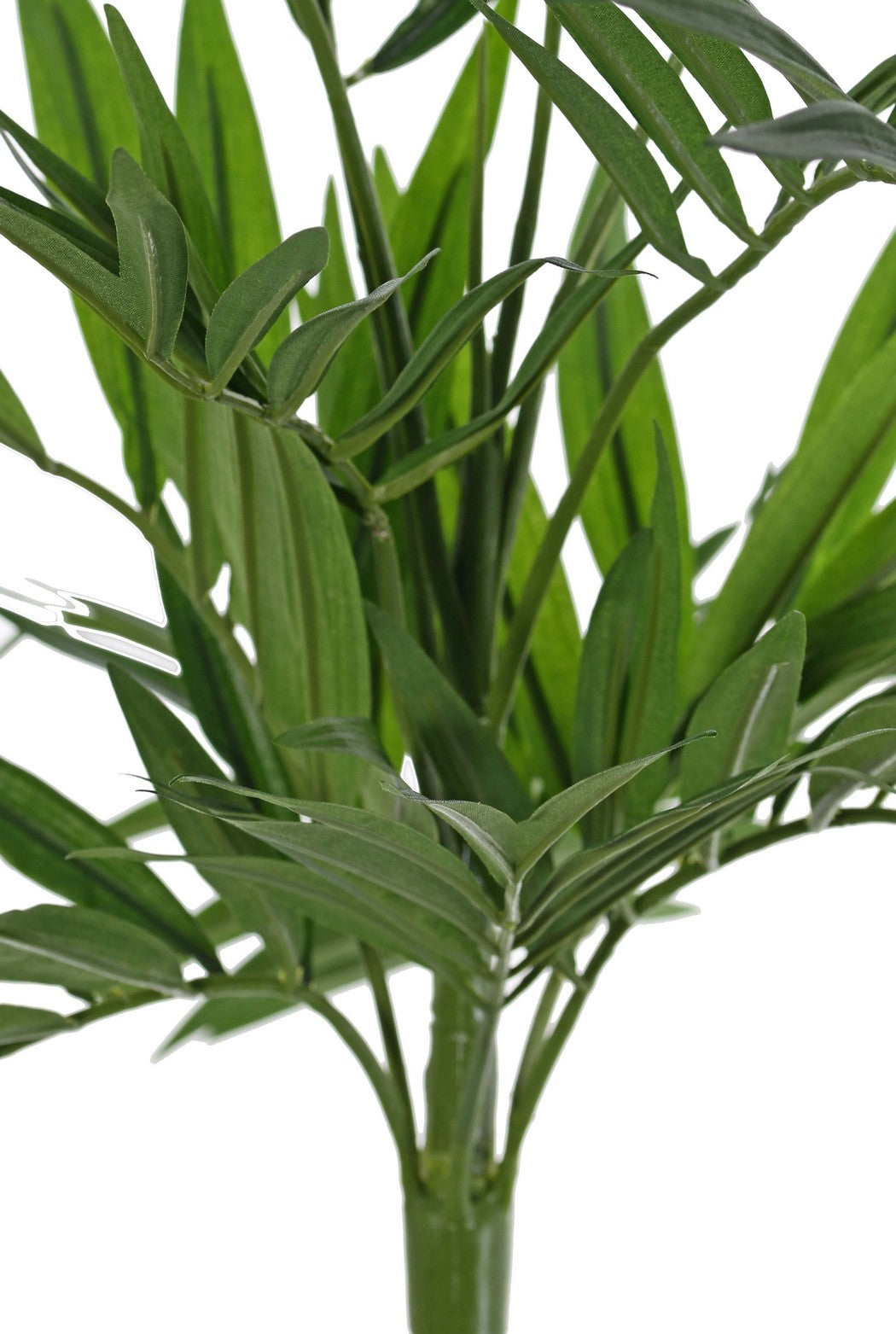 Parlour Palm (Chamaedora elegans), artificial, UV, 65cm