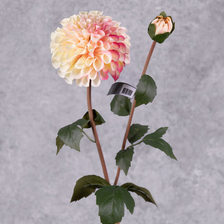 A faux cream and pink dahlia spray showing a full bloom and emerging bud