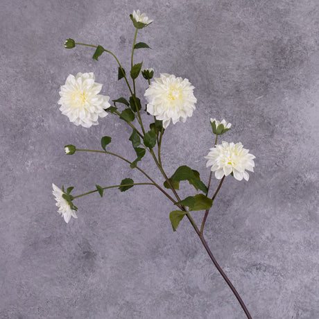 A close up of a white, faux dahlia spray, with open flowers and buds