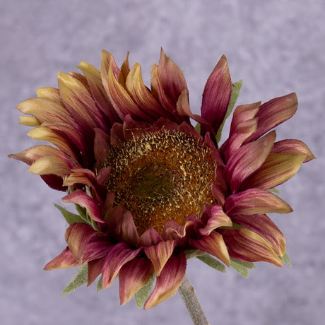 A close up of a single, faux, sunflower head in a soft yellow colour, with tinges of pink