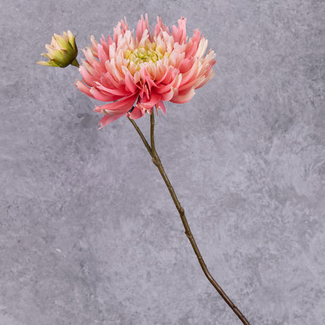 A faux chysanthemum stems, each with an open flower and an emerging bud