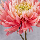 A closeup shot of a faux chrysanthemum stem in a warm pink that graduates to a pale pink and then yellow towards the centre