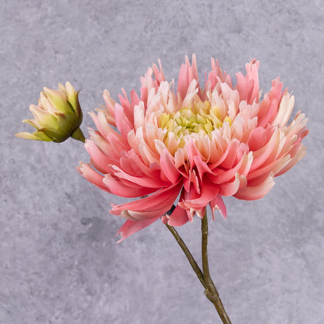 A faux chrysanthemum stem in a warm pink that graduates to a pale pink and then yellow towards the centre, along with an emerging flower to the side