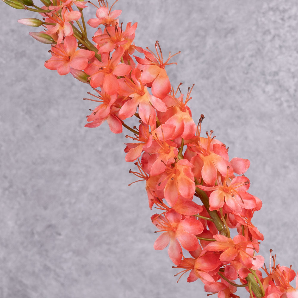 A close up shot of a faux foxtail lily with warm salmon flowers