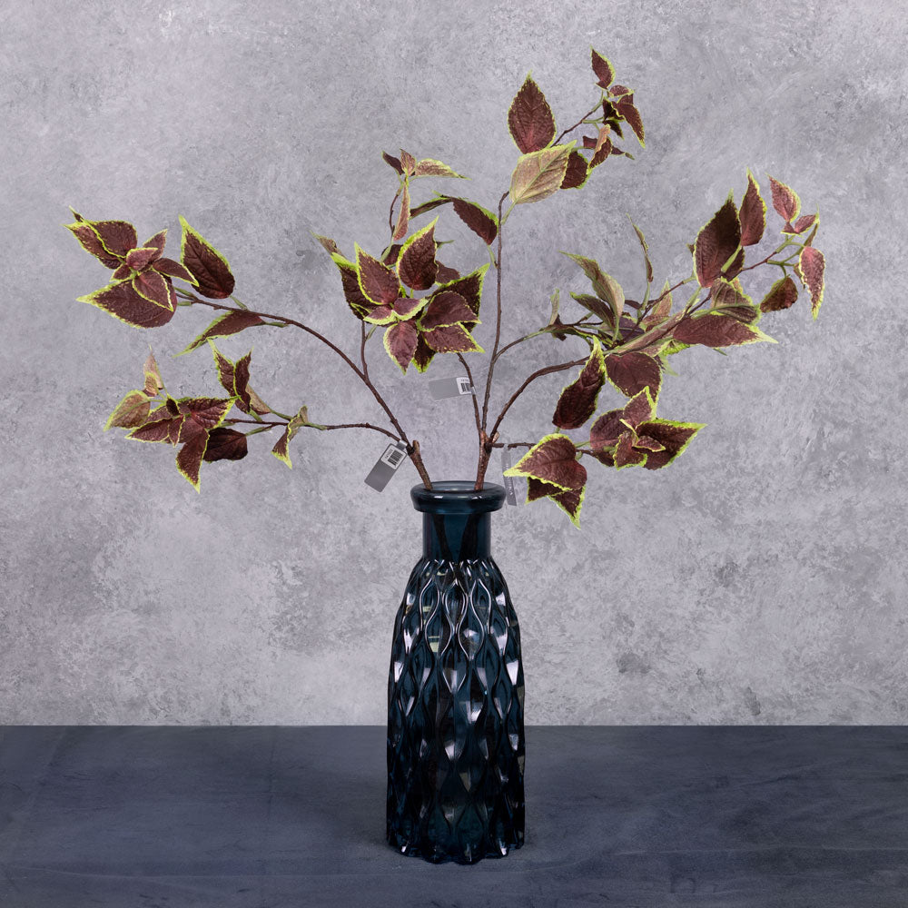 Three Coleus leaf sprays with green and brown variegated leaves sprouting from three branchlets each, shown in a blue glass vase