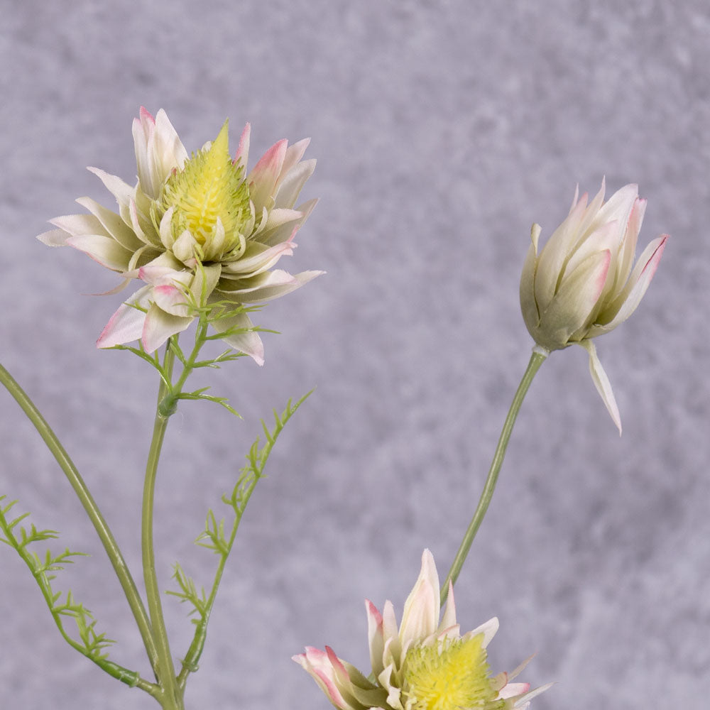 A close up of faux protea flowers in a green/pink colour