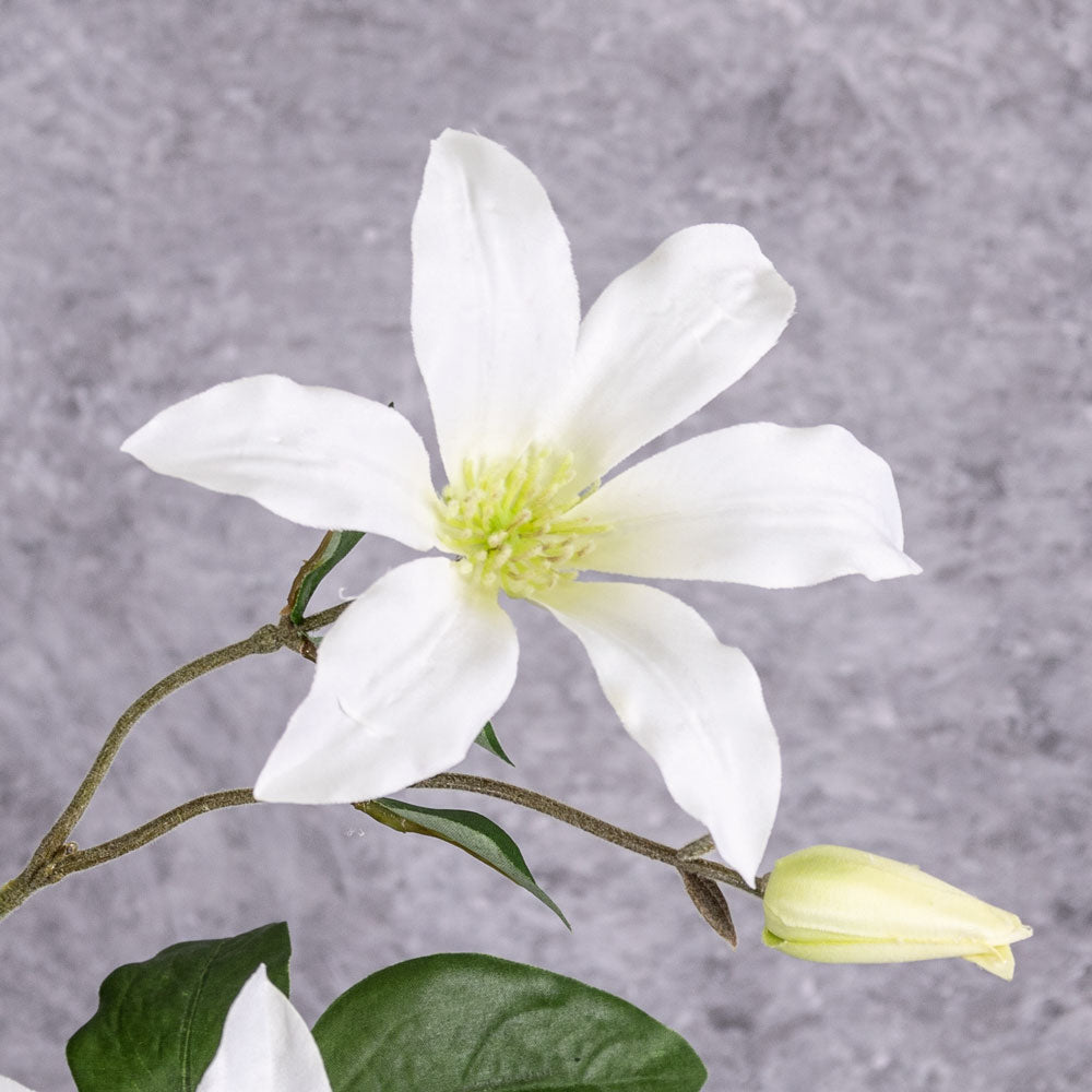 A close up shot of a faux clematis flowers in white.