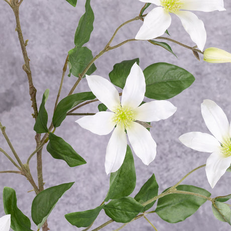 A close up shot of a couple of faux clematis flowers in white.