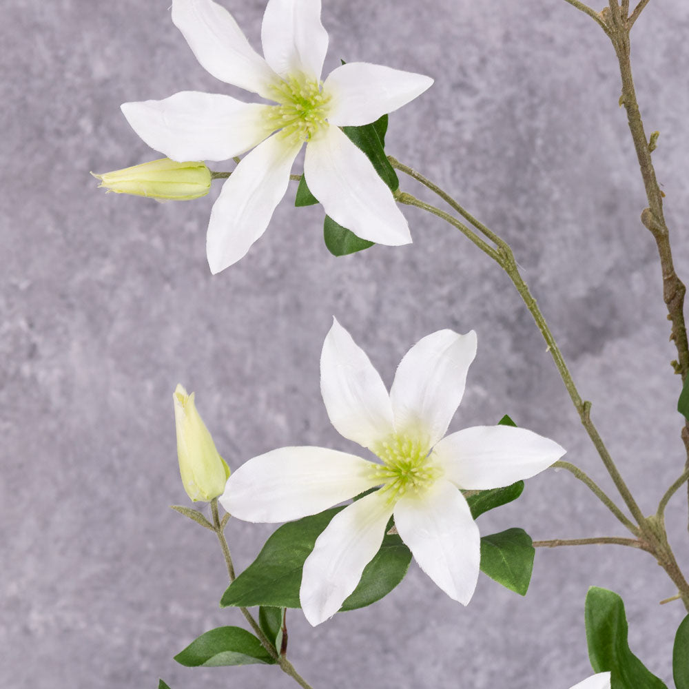 A close up shot of a couple of faux clematis flowers in white.