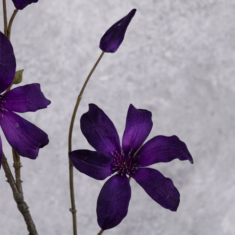 A close up of faux clematis flowers in a deep purple colour
