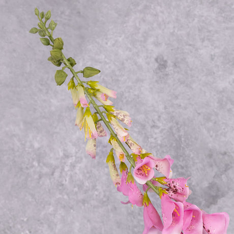 A single faux, pink foxglove stem close up