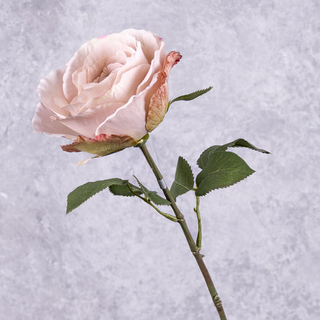 Rose Stem (Silk-ka), Mauve, 66cm