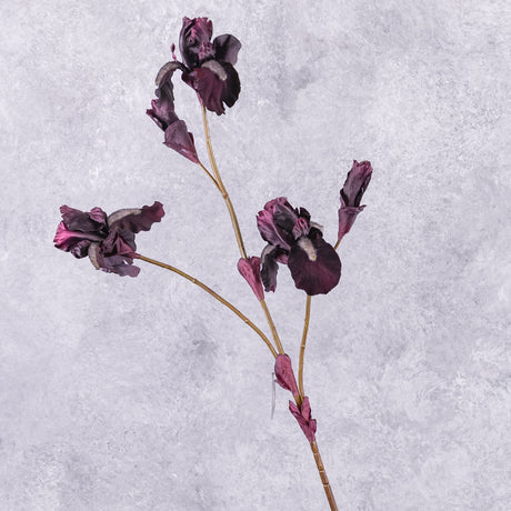 Iris Spray, (Silk-ka), Burgundy, 102cm