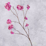 Astrantia Spray(Silk-ka), Pink/Beauty, 110cm