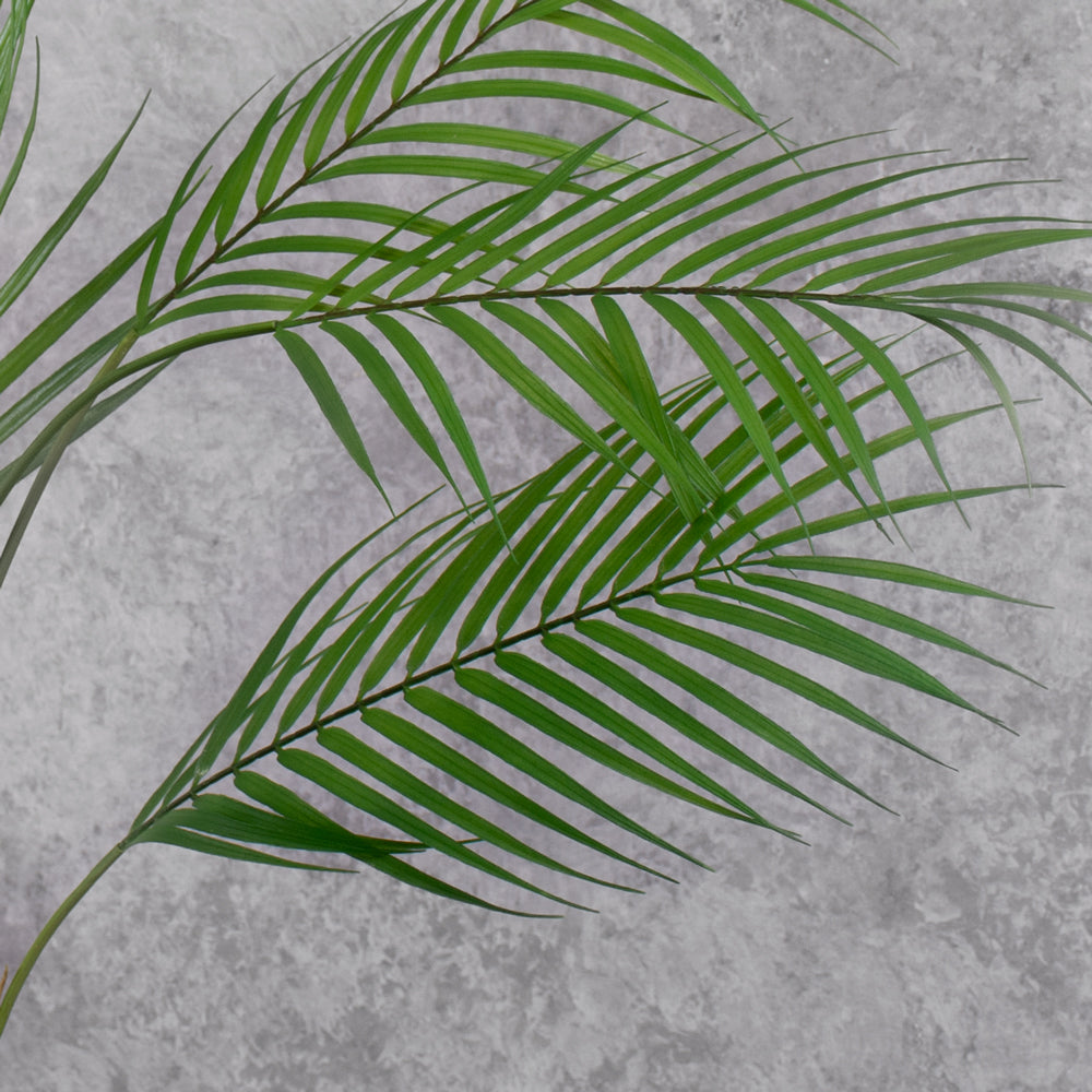 Palm bush (Silk-ka), Artificial, Green, 91cm