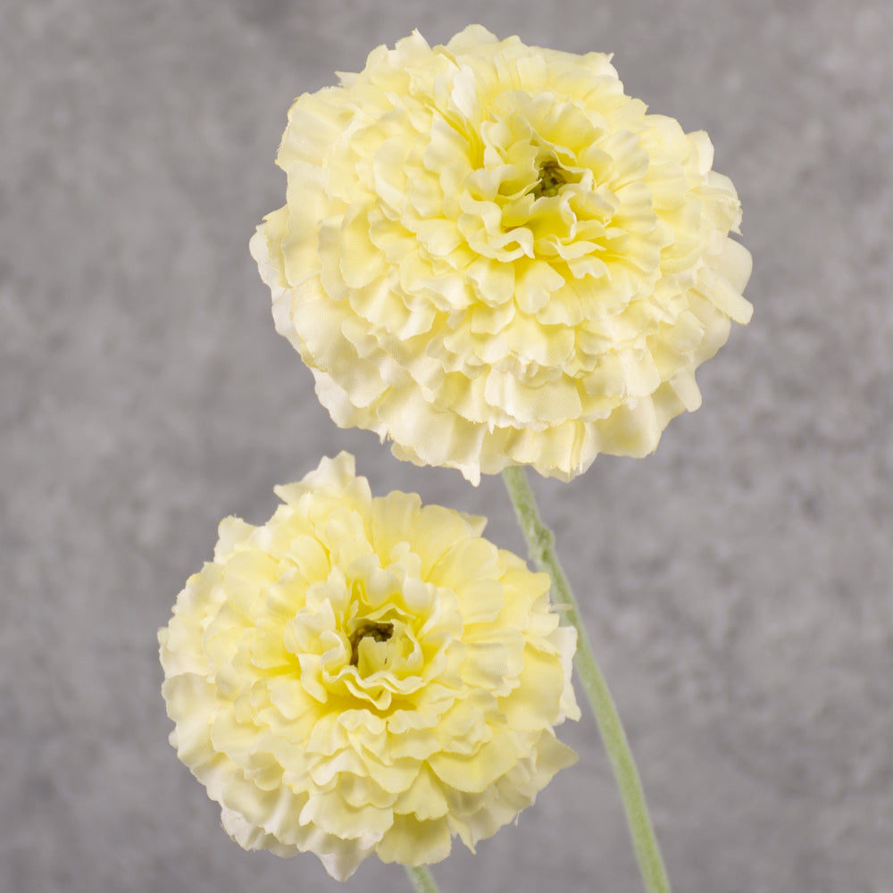 Marigold spray (Silk-ka), Artificial, Cream, 91cm