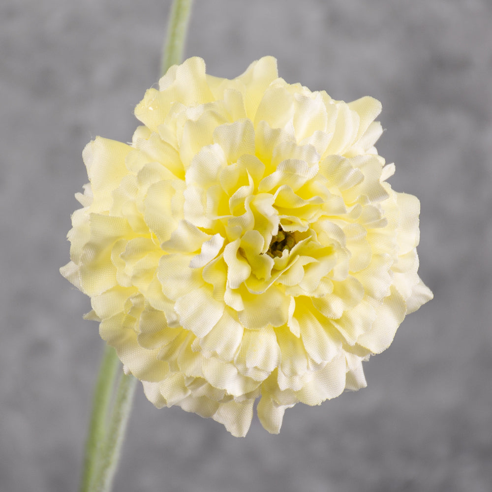 Marigold spray (Silk-ka), Artificial, Cream, 91cm