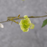 Blossom spray, Artificial, white/green, 99cm