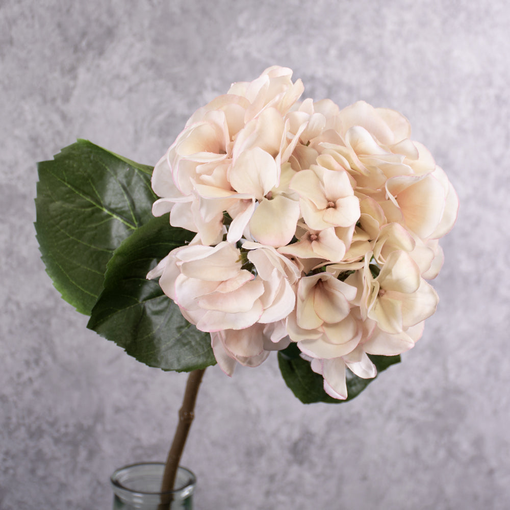 Hydrangea, Artificial, Cream/Pink, 61cm